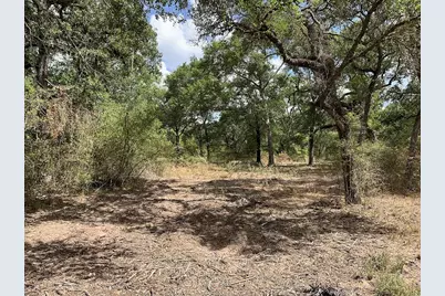 00 Private Road 1581 Road, Hallettsville, TX 77964 - Photo 14
