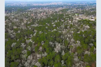 0 Colette St Street, Magnolia, TX 77355 - Photo 10