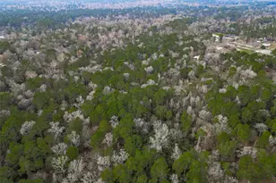 0 Colette St St, Magnolia, TX 77355 - Photo 10