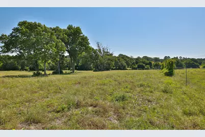 Tract #10 Cr 305 Road, Navasota, TX 77868 - Photo 6