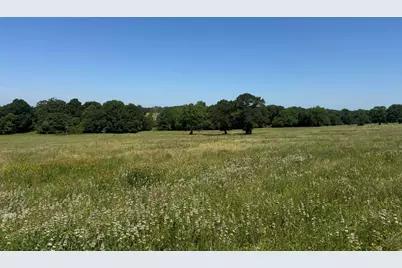 Tract #10 Cr 305 Road, Navasota, TX 77868 - Photo 26