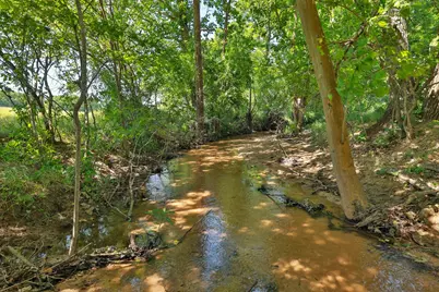 Tract #10 Cr 305 Road, Navasota, TX 77868 - Photo 10