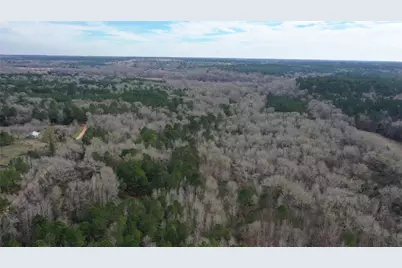 Tbdlot 2 County Road 2240, Grapeland, TX 75844 - Photo 10