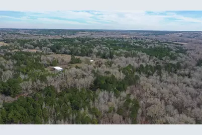 Tbdlot 2 County Road 2240, Grapeland, TX 75844 - Photo 8