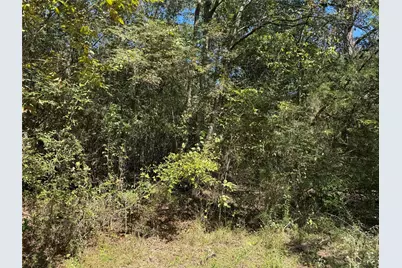 22630 Foxwood Drive, Navasota, TX 77868 - Photo 6