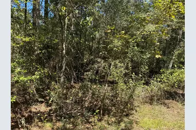 22630 Foxwood Drive, Navasota, TX 77868 - Photo 4