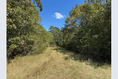 22630 Foxwood Drive, Navasota, TX 77868 - Photo 10