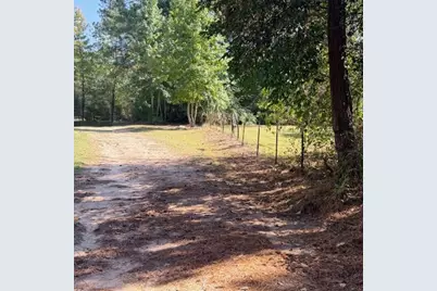 1705 Spring Ridge Road, Coldspring, TX 77331 - Photo 4