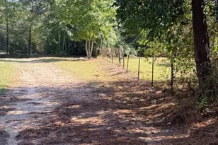 1705 Spring Ridge Rd, Coldspring, TX 77331 - Photo 4