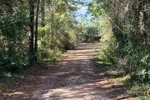 1705 Spring Ridge Rd, Coldspring, TX 77331 - Photo 2