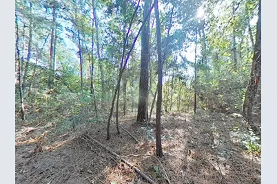 1705 Spring Ridge Road, Coldspring, TX 77331 - Photo 24