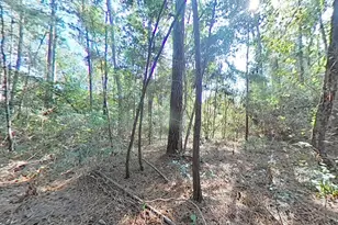 1705 Spring Ridge Rd, Coldspring, TX 77331 - Photo 24