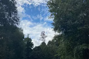 3348 Knob Oaks Dr, Huntsville, TX 77340 - Photo 1