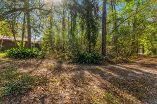 12533 Evergreen Rd, Conroe, TX 77303 - Photo 4