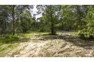 Tbd Lot 003 Holland Rd, Moscow, TX 75960 - Photo 1