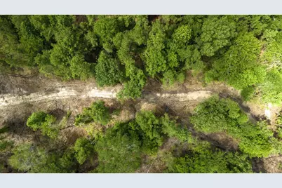 Tbd Lot 003 Holland Road, Moscow, TX 75960 - Photo 2