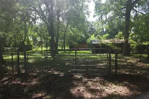 808 Chickasaw Dr, Montgomery, TX 77356 - Photo 8