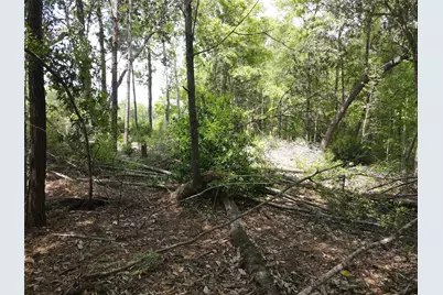 Tbd Tx-146, Livingston, TX 77351 - Photo 6