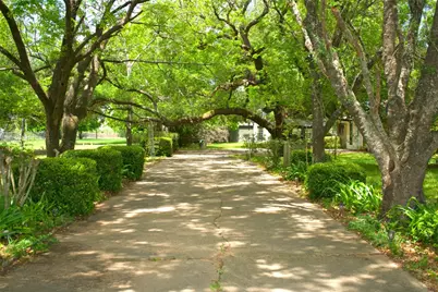 28622 Fm 2920 Road, Waller, TX 77484 - Photo 10