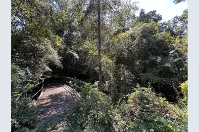 40206 Colfax Road, Magnolia, TX 77354 - Photo 28