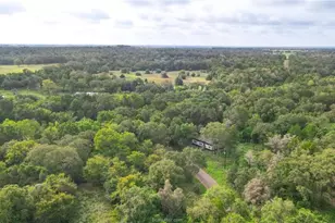 3960 Co Rd 324, Caldwell, TX 77836 - Photo 16