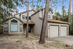 10 Shallow Pond Pl, Montgomery, TX 77381 - Photo 4