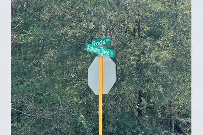 Tbd Autumn Bend Dr, Conroe, TX 77303 - Photo 10