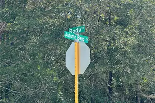 Tbd Autumn Bend Dr, Conroe, TX 77303 - Photo 10