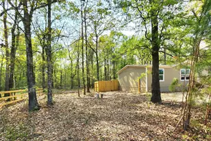1010 Hidden Oaks Dr, Pointblank, TX 77364 - Photo 4