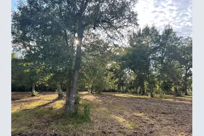 0 Cr-525, Sweeny, TX 77480 - Photo 14