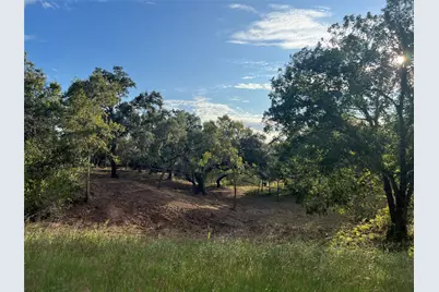 0 Cr-525, Sweeny, TX 77480 - Photo 2