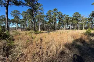 020 Private Road 6028, Brookeland, TX 75931 - Photo 1