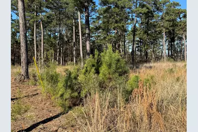 020 Private Road 6028, Brookeland, TX 75931 - Photo 6