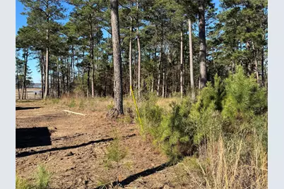 020 Private Road 6028, Brookeland, TX 75931 - Photo 4