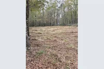 222 Wendy Way, Livingston, TX 77351 - Photo 4