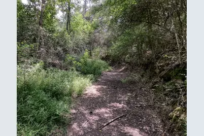 2160 Bowler Road, Waller, TX 77484 - Photo 22