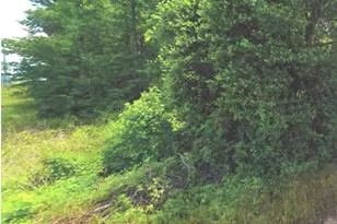 0 N Hwy 75 Hwy, Willis, TX 77378 - Photo 6