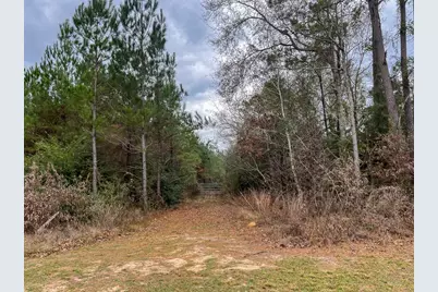 1 Highway 87, Newton, TX 75966 - Photo 8