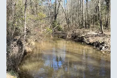 21438 Doru Drive, Cleveland, TX 77328 - Photo 30