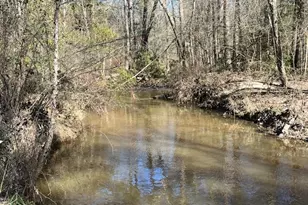 21438 Doru Dr, Cleveland, TX 77328 - Photo 30