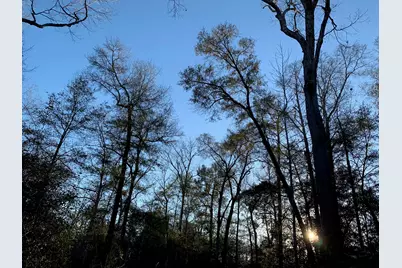 21438 Doru Drive, Cleveland, TX 77328 - Photo 20