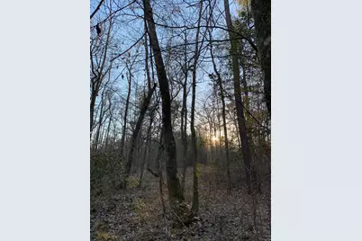 21438 Doru Drive, Cleveland, TX 77328 - Photo 24