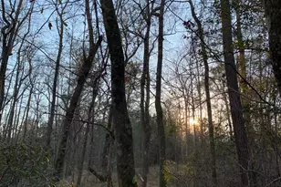 21438 Doru Dr, Cleveland, TX 77328 - Photo 24