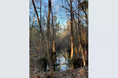 21438 Doru Drive, Cleveland, TX 77328 - Photo 26