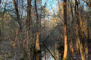 21438 Doru Dr, Cleveland, TX 77328 - Photo 26