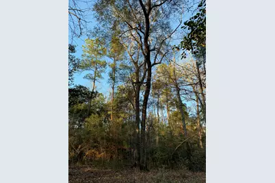 21438 Doru Drive, Cleveland, TX 77328 - Photo 22