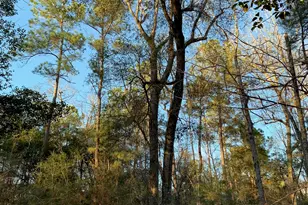 21438 Doru Dr, Cleveland, TX 77328 - Photo 22