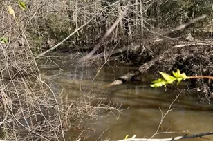 21438 Doru Dr, Cleveland, TX 77328 - Photo 42