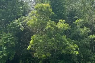 21438 Doru Dr, Cleveland, TX 77328 - Photo 16