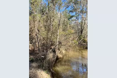 21438 Doru Drive, Cleveland, TX 77328 - Photo 36